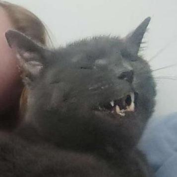 Torbenmoeller Torben M Ller Github - Artistic 8K Abstract Images | Free Download