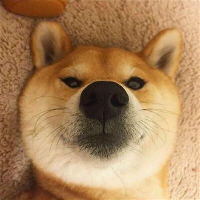 Zzcrazy00 Zzcrazy Github - Geometric Texture Collection - 8K Quality