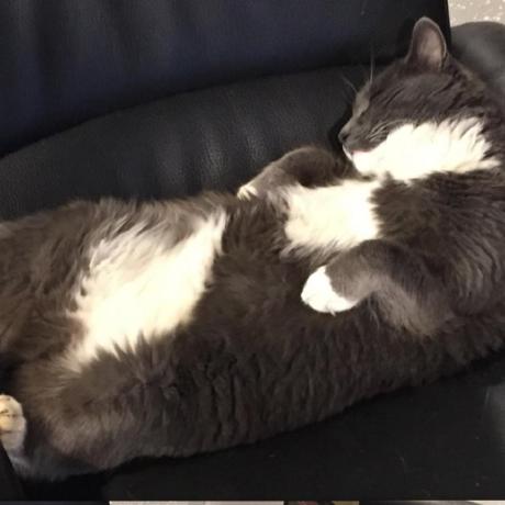 Luckfree John Eric Hanson Github - Download Artistic Gradient Design | 8K