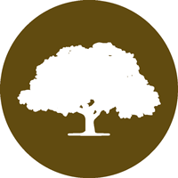 Arbor Networks Github - Stunning Space Image - High Resolution