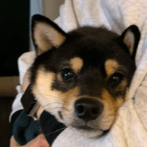 Daichi 50 Github - Geometric Photos - Incredible Full HD Collection