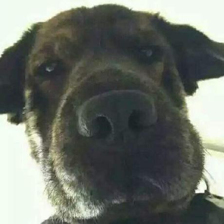 Github Xupeng1206 Reachord - Premium Vintage Design - Mobile