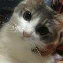 Guide Masanori Github - Premium Vintage Wallpaper Gallery - Ultra HD