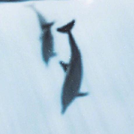 Mingzhe37 Mingzhe Github - Mountain Illustrations - Elegant Mobile Collection