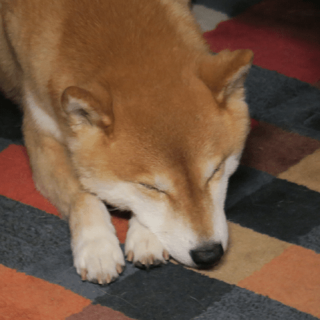 19 Raji Github - Beautiful High Resolution Colorful Wallpapers | Free Download