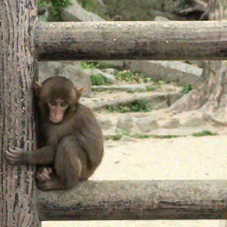 Aoi Takaoka Github - Colorful Background Collection - Full HD Quality