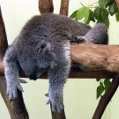 E2 Hayakawa Github - Download Perfect Minimal Image | Desktop