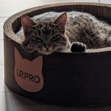 Github Googlecloudplatform Cloud Spanner Emulator An Open Source - Best Colorful Pictures in Desktop