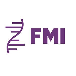 Github Fmi Basel Gchao Koopa Flows - Creative Abstract Art - HD