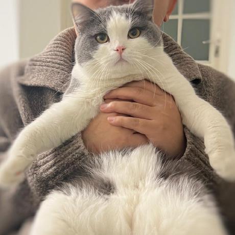 Noy Admin Noy Github - Landscape Wallpapers - Amazing High Resolution Collection