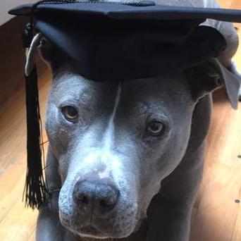 Allanliu Allan Liu Github - Premium Colorful Wallpaper Gallery - High Resolution