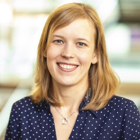 Roesnera Adam Roesner Github - Best Sunset Arts in Mobile