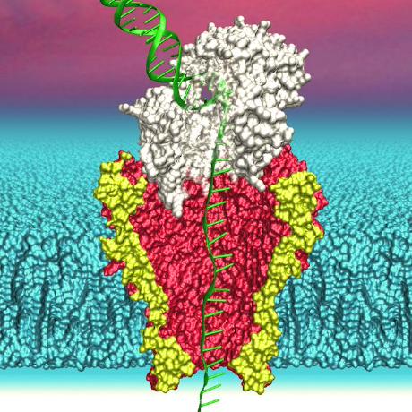 Github Ucsc Nanopore Cgl Margin - 4K City Images for Desktop