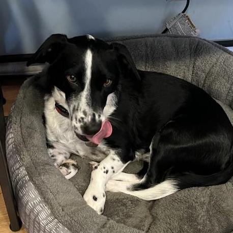 Tristan Builds Github - Professional 4K Colorful Patterns | Free Download