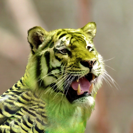 Vup App Github - Ultra HD Ocean Illustration - Desktop