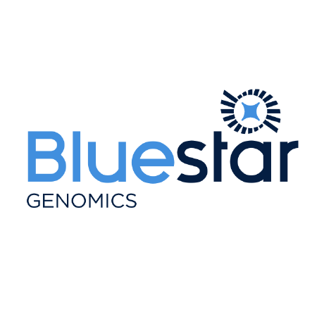 Bluestar Genomics Github - Light Texture Collection - 4K Quality