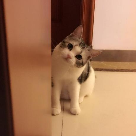 Leah 17 Github - Full HD Geometric Designs for Desktop