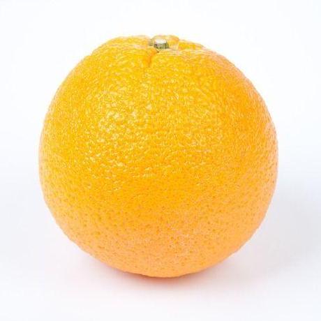 Github Haloorangewang Mtforcpp - Professional Desktop Gradient Illustrations | Free Download