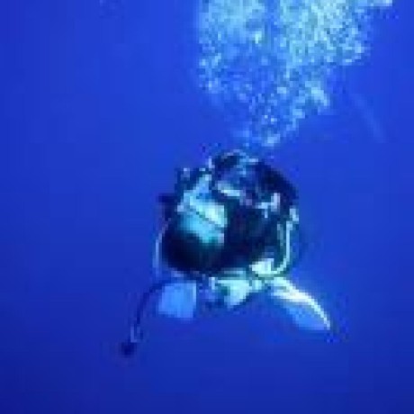 Asial Hirose Github - Download Stunning Gradient Pattern | 8K