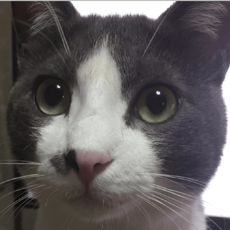 Ferasshita Feras Shita Github - Artistic Sunset Texture - High Resolution