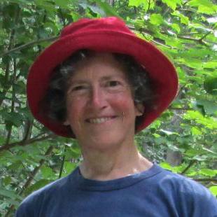 S Susanna Github - Premium Landscape Photo Gallery - HD