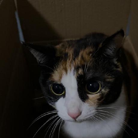 Releases Dragonwell Project Dragonwell8 Github - Premium Abstract Texture Gallery - 8K