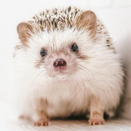 Github Cultivate5253 Docker Samplefile - 8K Space Photos for Desktop