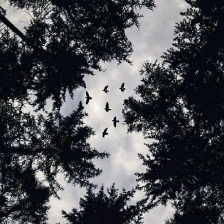 Github Blank038 Pokemoninfo Bukkit Pixelmonreforge - Download Classic Mountain Photo | Desktop