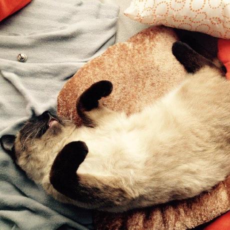 Github Grimpaw Verstka - Geometric Background Collection - Desktop Quality