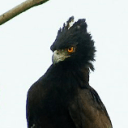 Github Haawwkeye Wacca Editor - Modern Space Photo - HD