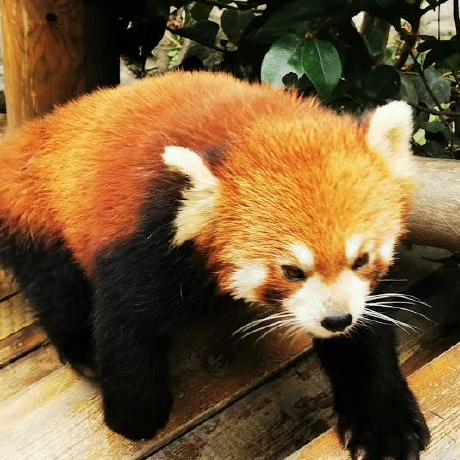 Stefandayy Stefan Github - Sunset Arts - Professional 8K Collection