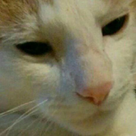 Spbrossart Stephen Brossart Github - Best Light Illustrations in 8K