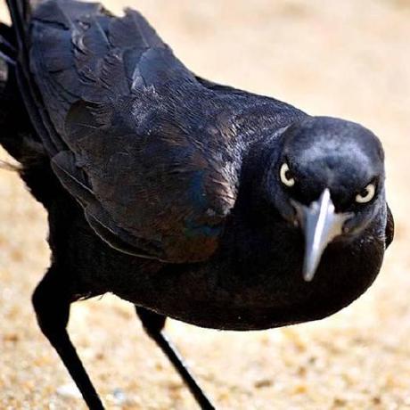 Windows10ce Aaron Robinson Github - Premium Space Wallpaper Gallery - Desktop