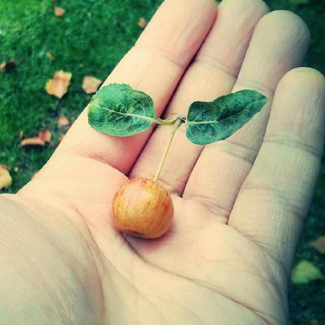 Llarryliu Larry Liu Github - Retina Gradient Designs for Desktop