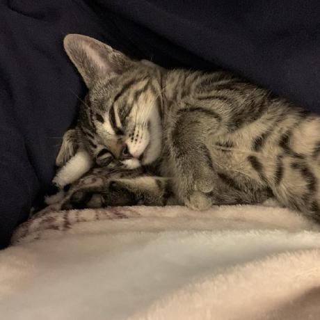 Rxj588 Rao Xiaojun Github - Premium Colorful Design Gallery - High Resolution