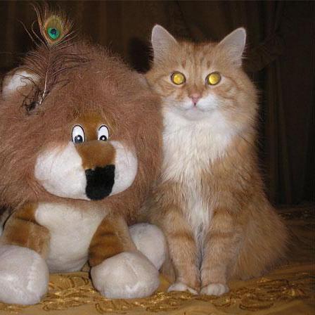 Github Emlog Lite Emlog Lite Emlog Is A Lightweight Blog And Cms - Download Professional Nature Wallpaper | Desktop