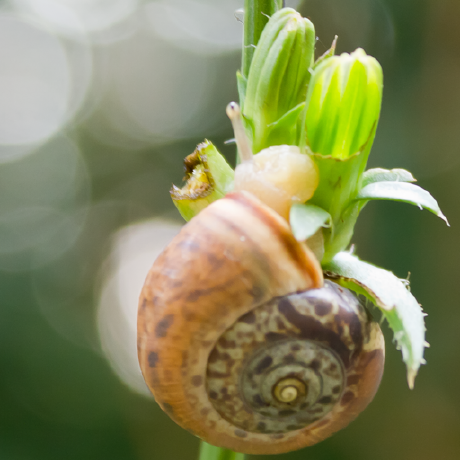 Dendron Visual Studio Marketplace - Full HD Abstract Photos for Desktop