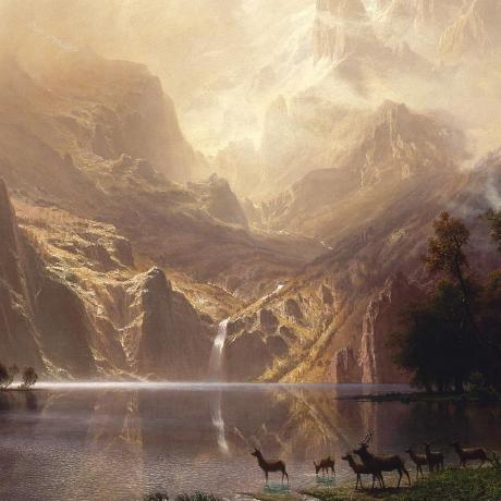 Github Amikey Anki Android Https Github Com Knifer Anki Android Git - Gorgeous Nature Design - Retina