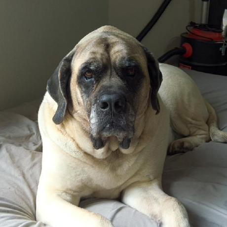 H Kennedy Github - Gradient Art Collection - HD Quality