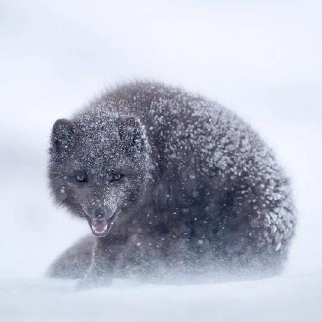 Github Remycases Charactercreator A Character Creator For Stoneshard - Download Creative Dark Background | 8K