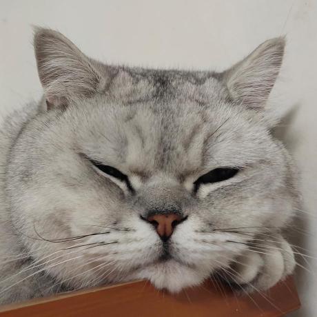 Sean Codingforlife Sean Github - Premium Nature Wallpaper Gallery - HD