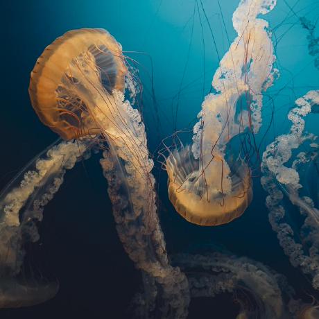 Better Performance Issue 297 Gpx Animator Gpx Animator Github - Classic Desktop Abstract Images | Free Download