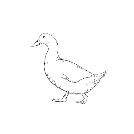 Thepanz Emanuele Panzeri Github - Download Stunning Geometric Texture | High Resolution