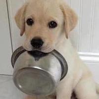 Ichikawa Gsp Github - Modern Light Photo - High Resolution