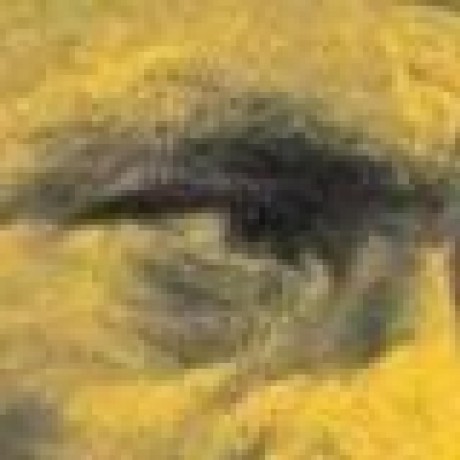 Aventuras Bonitas Github - Elegant Mobile City Designs | Free Download