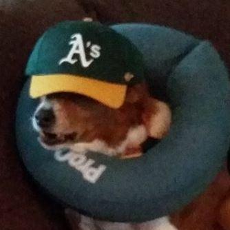 Alferguson John Alexander Ferguson Github - Full HD Sunset Textures for Desktop