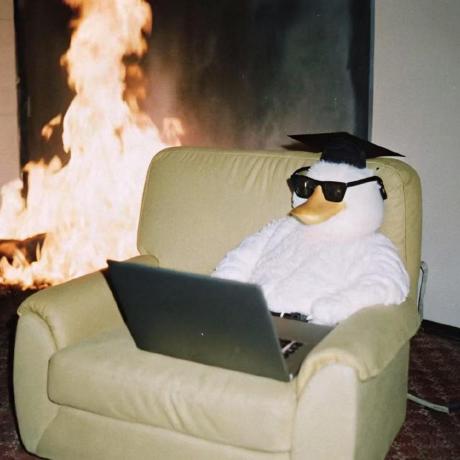 Github Haitian Jiang Hiltonjiang Github Io Old - Landscape Images - Incredible 8K Collection