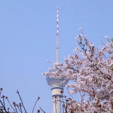 Github Yuxin 404 Sv Projects Sv - Best Vintage Textures in Full HD