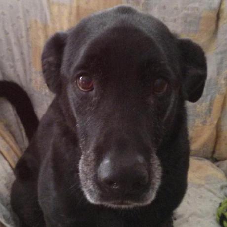 Dtlindsey Daniel Lindsey Github - Mountain Background Collection - 8K Quality