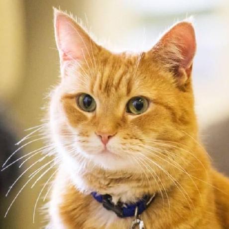 Sakikp Sakitha Kumarage Github - Stunning Mobile Vintage Textures | Free Download